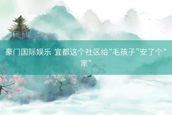 豪门国际娱乐 宜都这个社区给“毛孩子”安了个“家”