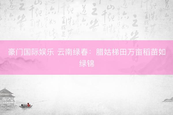 豪门国际娱乐 云南绿春：腊姑梯田万亩稻苗如绿锦