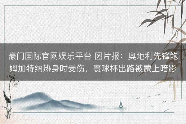 豪门国际官网娱乐平台 图片报：奥地利先锋鲍姆加特纳热身时受伤，寰球杯出路被蒙上暗影